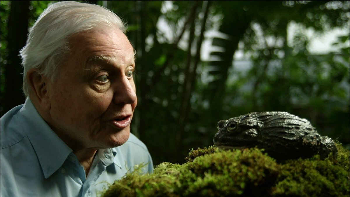 David Attenborough v akciji